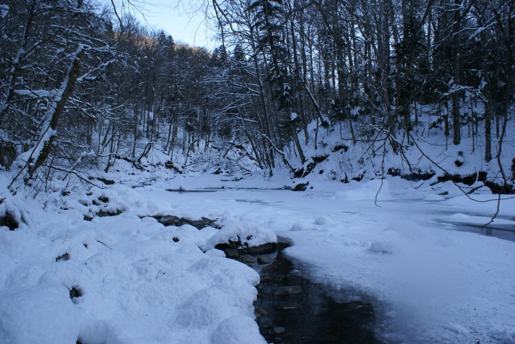 река Киша февраль