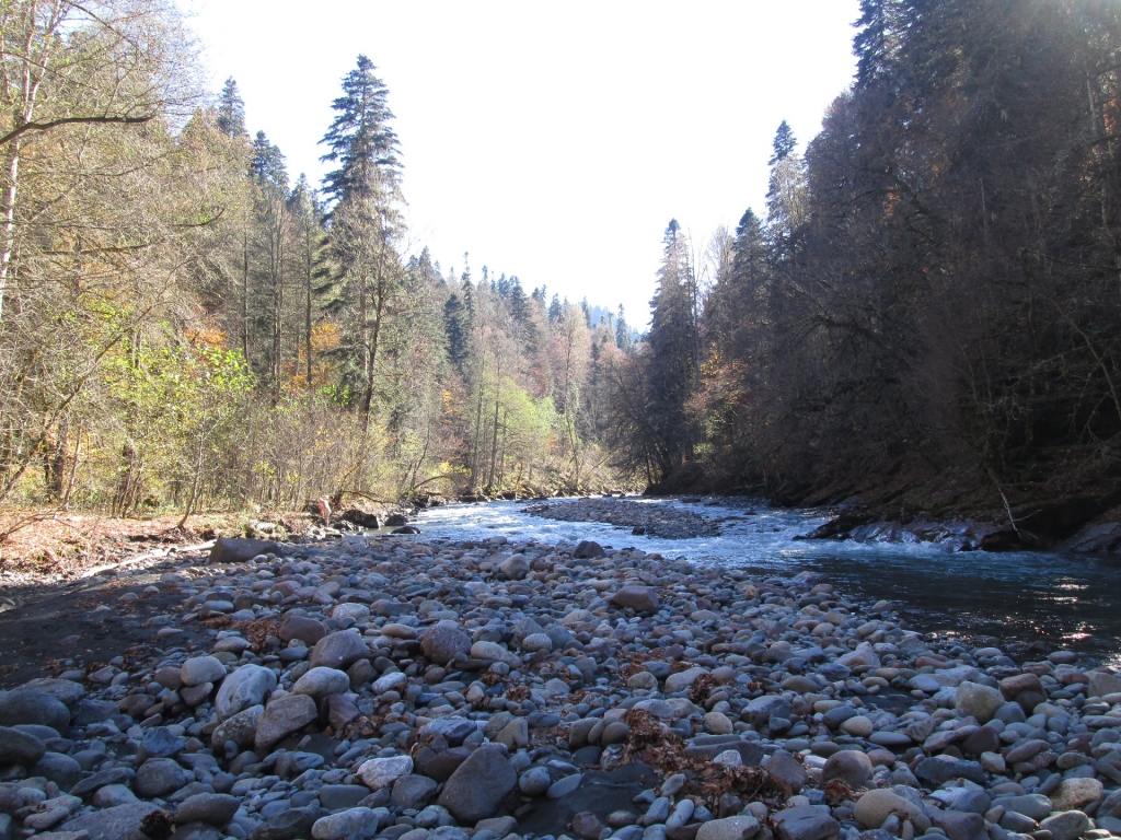 Река Киша рядом с местом впадения в неё реки Шиша.