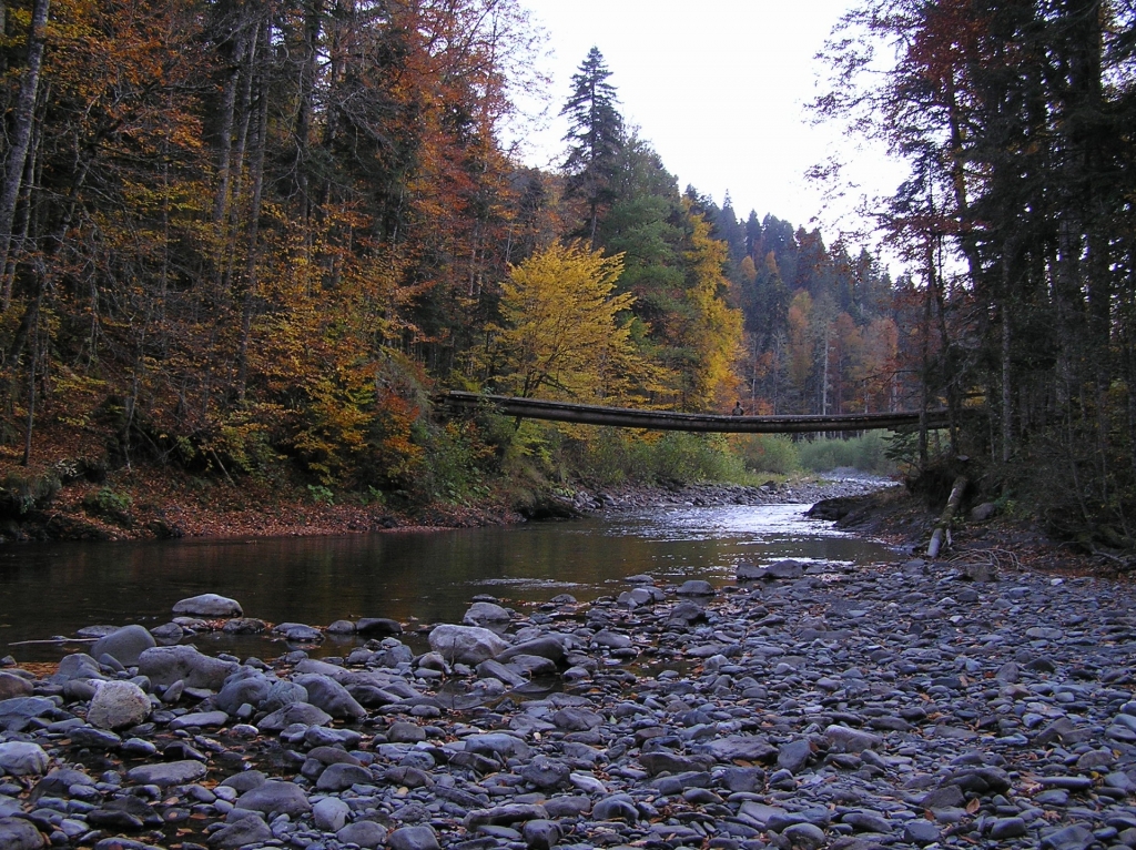 Мост через реку Киша