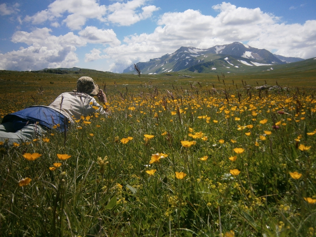 Валяясь в цветочках, фото горы Оштен