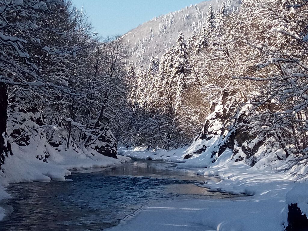 река Белая зимой